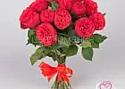 Купить Пионовидная роза Ред Пиано в  с бесплатной доставкой: цена, фото, описание