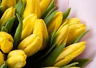 Купить Букет из 35 жёлтых тюльпанов в  с бесплатной доставкой: цена, фото, описание
