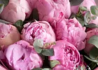 Купить Букет из 11 розовых пионов (Премиум) с эвкалиптом в  с бесплатной доставкой: цена, фото, описание