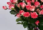 Купить Кустовая роза Фаерворк в  с бесплатной доставкой: цена, фото, описание