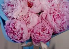Купить Букет из 11 розовых пионов (Стандарт) в  с бесплатной доставкой: цена, фото, описание
