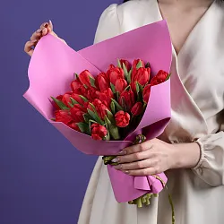 Купить Букет 25 красных тюльпанов в  с бесплатной доставкой: цена, фото, описание
