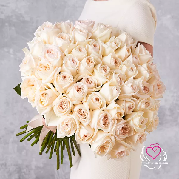 Купить Букет из 51 ароматной розы Вайт Охара под ленту в  с бесплатной доставкой: цена, фото, описание
