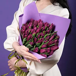 Купить Букет 51 фиолетовый тюльпан в  с бесплатной доставкой: цена, фото, описание