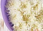 Купить Букет из 17 белых хризантем в  с бесплатной доставкой: цена, фото, описание