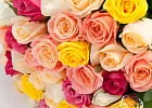 Купить Букет 51 российская роза микс 50 см в  с бесплатной доставкой: цена, фото, описание